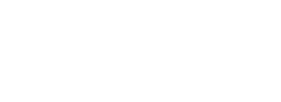 ICAISBI