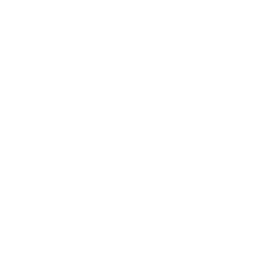 ICAISBI